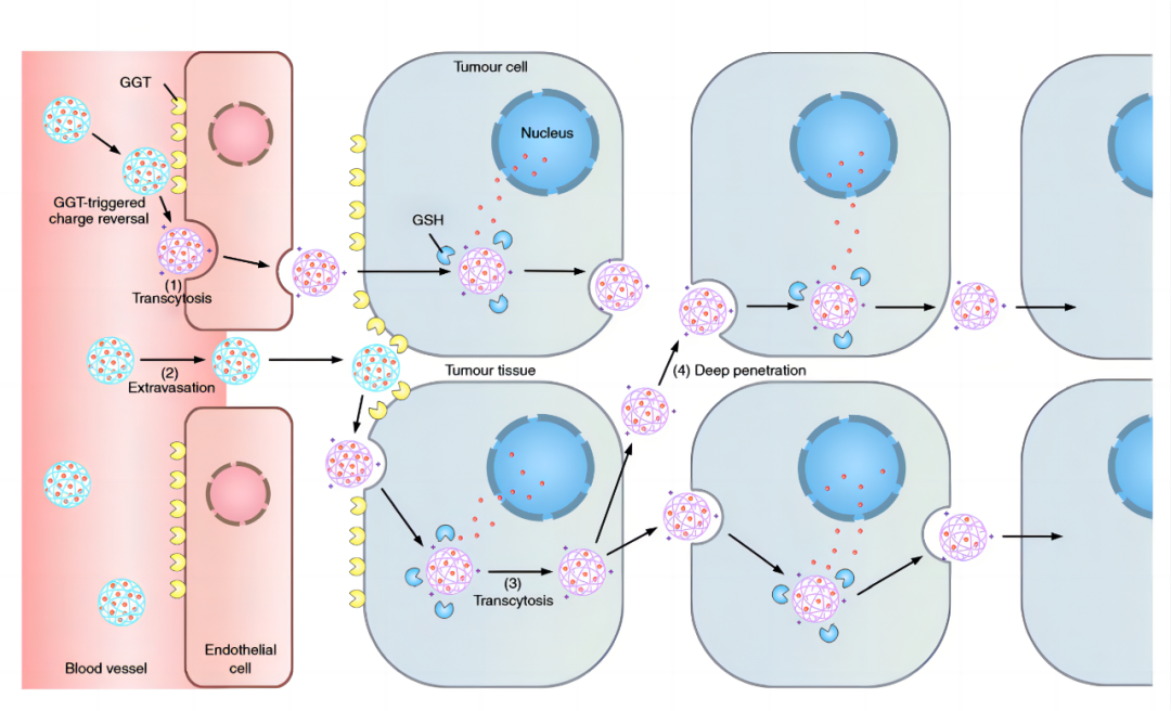 640 (1).png 640 (1).png