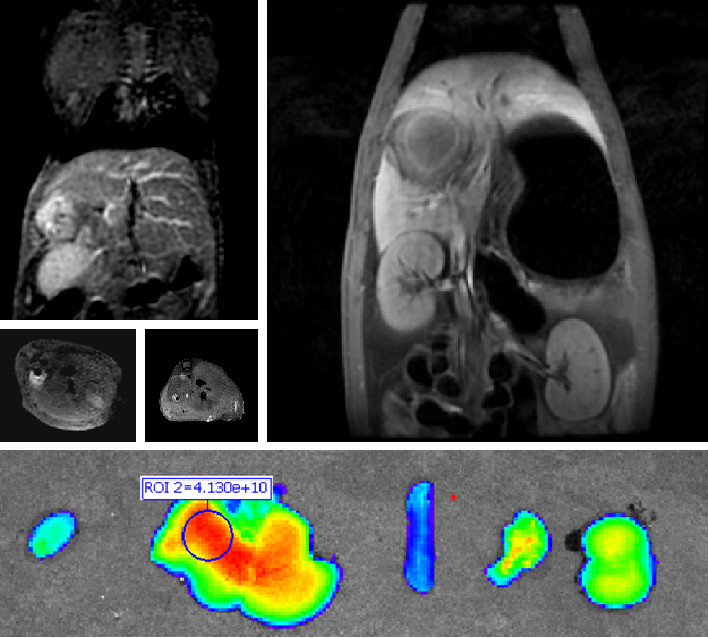 640 (10).png 640 (10).png