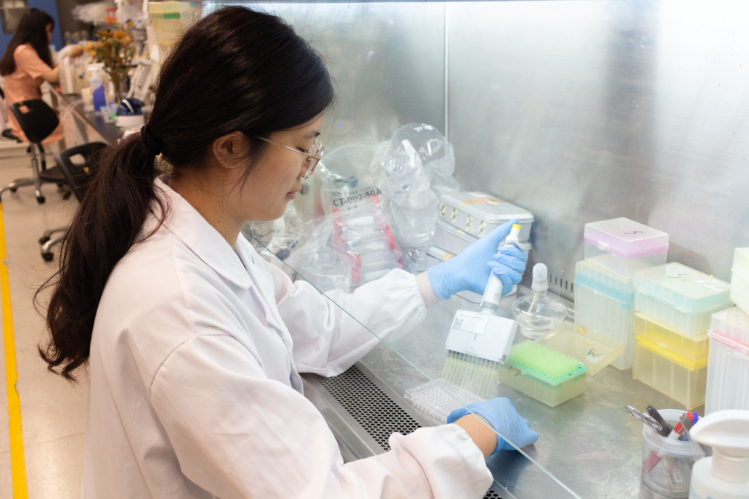 屏幕截图 2024-10-21 141952.png 屏幕截图 2024-10-21 141952.png