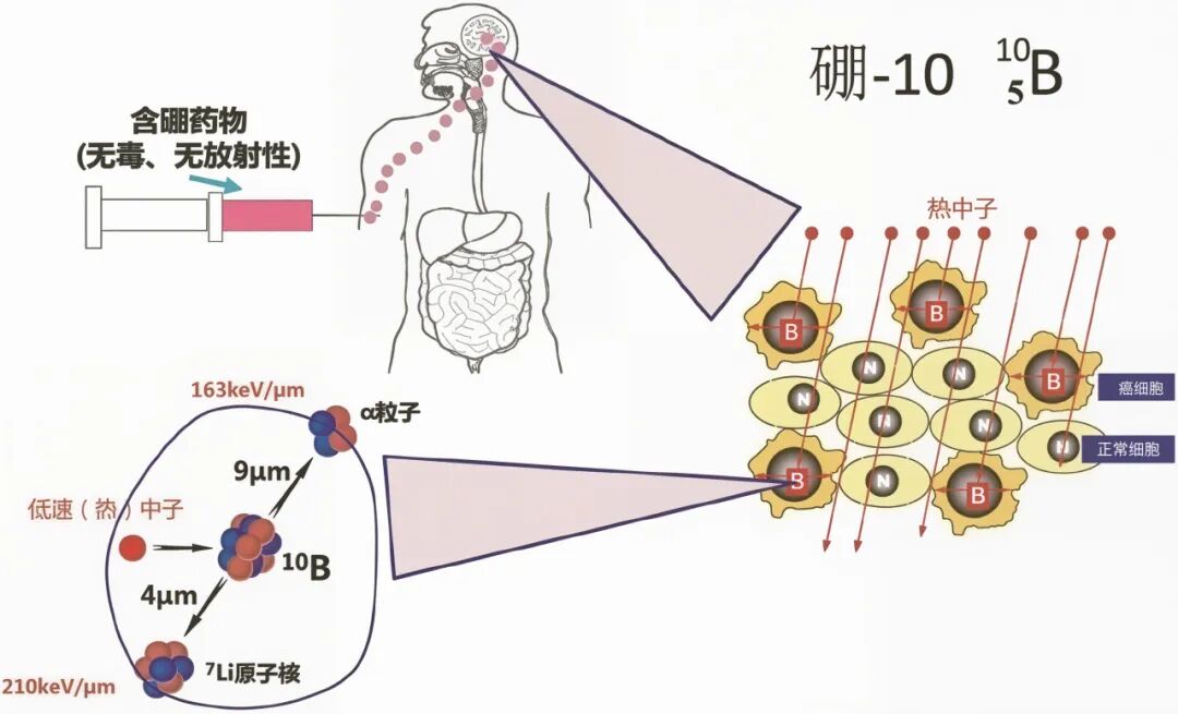 640 (3).jpg 640 (3).jpg